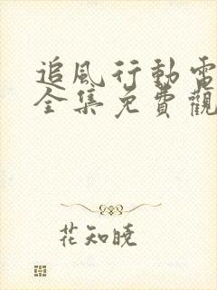 追风行动电视剧全集免费观看