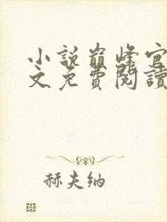 小说巅峰官路全文免费阅读封面