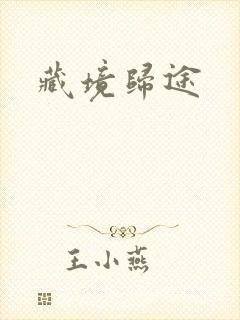 藏境归途封面