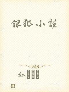 银狐小说