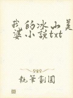 我的冰山美女老婆小说txt