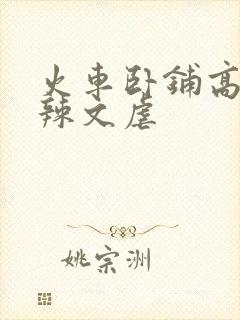 火车卧铺高h肉辣文虐