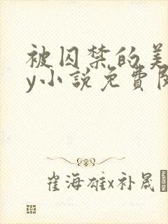 被囚禁的美人by小说免费阅读封面