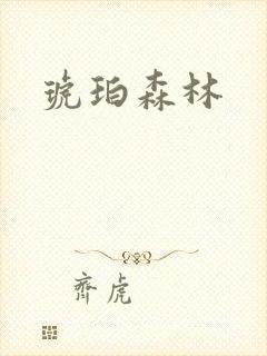 琥珀森林封面