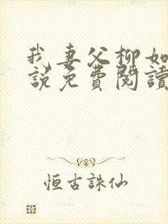 我妻父柳如烟小说免费阅读封面