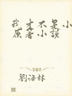 我才不是小可怜原著小说