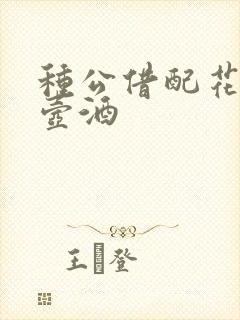 种公借配花间一壶酒