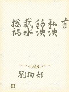 总裁的私有宝贝祸水泱泱