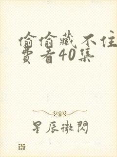 偷偷藏不住 免费看40集
