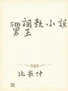 sm调教小说双男主