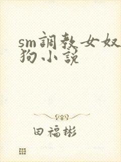 sm调教女奴母狗小说