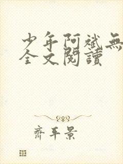 少年阿斌无删减全文阅读