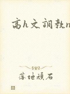高h文调教np
