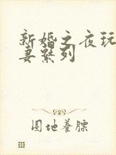 新婚之夜玩弄人妻系列封面