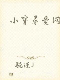 小宝寻爱网