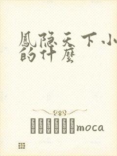 凤隐天下小说讲的什么