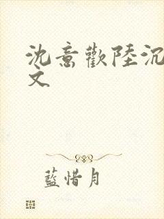 沈意欢陆沉舟全文