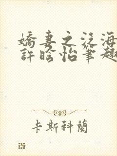 娇妻之泛海之舟许晗怡笔趣阁封面