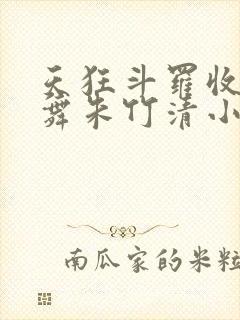 天狂斗罗收服小舞朱竹清小说封面