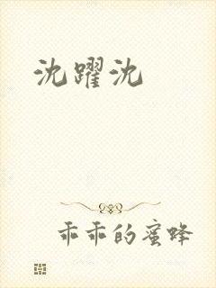 沈跃沈封面