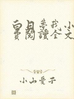 白日梦我小说免费阅读全文无删减