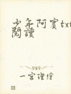 少年阿宾txt阅读