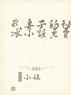 我妻子的秘密王冰小说免费阅读