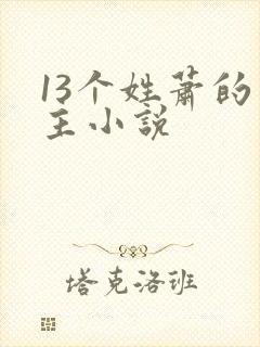 13个姓萧的男主小说