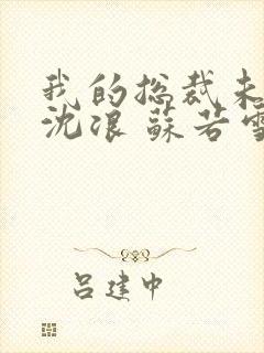 我的总裁未婚妻沈浪 苏若雪