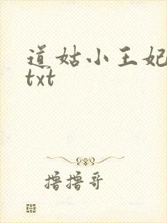 道姑小王妃番外txt