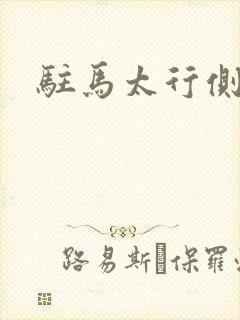 驻马太行侧