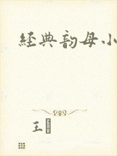 经典韵母小说
