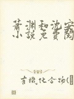 萧渊和沈安安的小说免费阅读