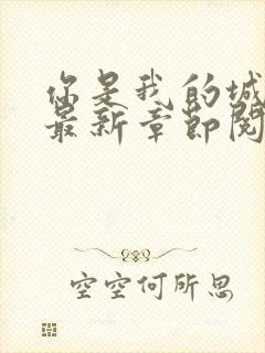 你是我的城小说最新章节阅读全文封面