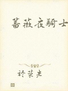 蔷薇夜骑士封面