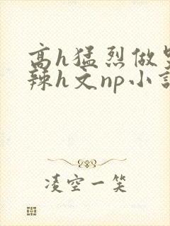 高h猛烈做哭高辣h文np小说