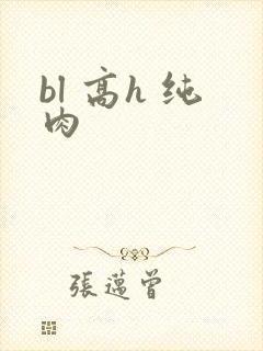 bl 高h 纯肉