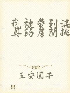 我被带到满是玩具的房间挑调作文