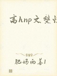 高hnp文双性