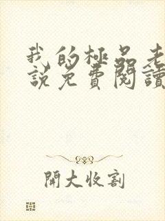 我的极品老婆小说免费阅读全文下载封面