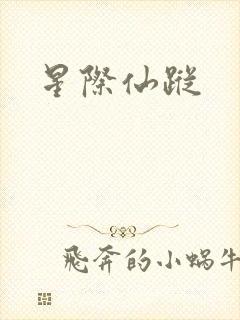 星际仙踪封面