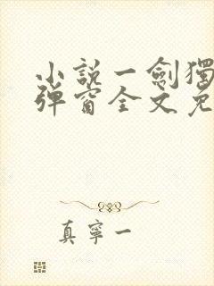 小说一剑独尊无弹窗全文免费阅读