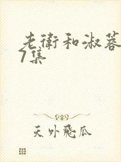 老卫和淑蓉1一7集