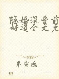 隐婚深爱前妻不好追全文免费阅读