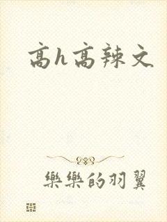高h高辣文