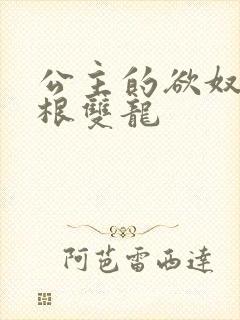 公主的欲奴h四根双龙封面