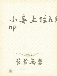 小妾上位h辣文np