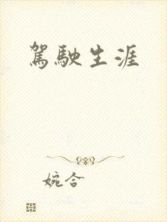 驾驶生涯