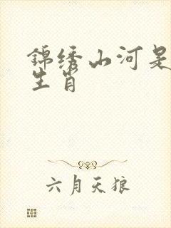 锦绣山河是什么生肖
