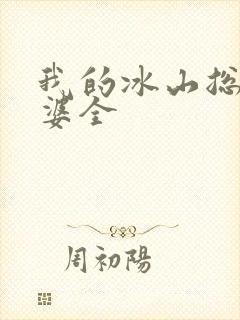我的冰山总裁老婆全